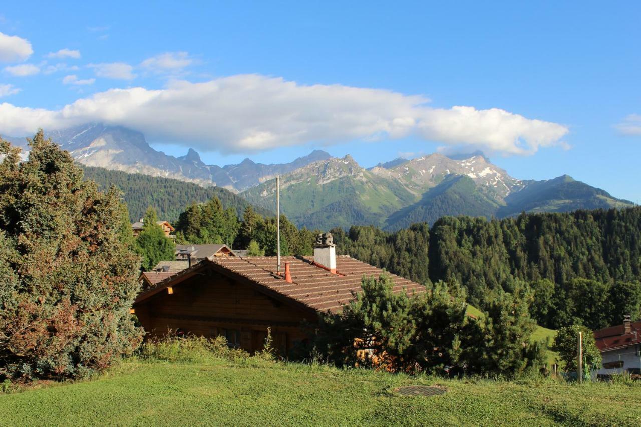 Chalet Le Slalom Arveyes Exteriér fotografie