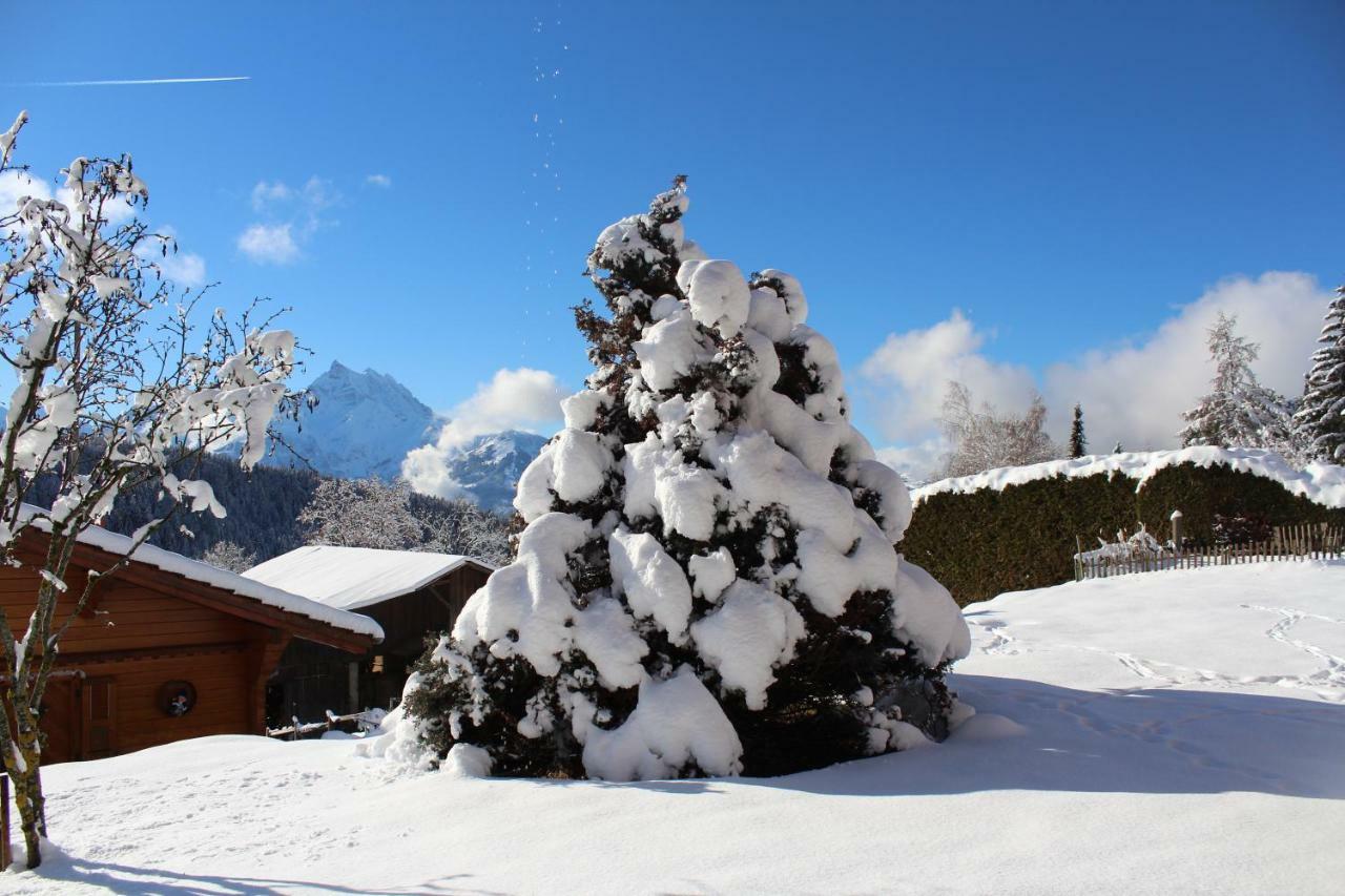 Chalet Le Slalom Arveyes Exteriér fotografie